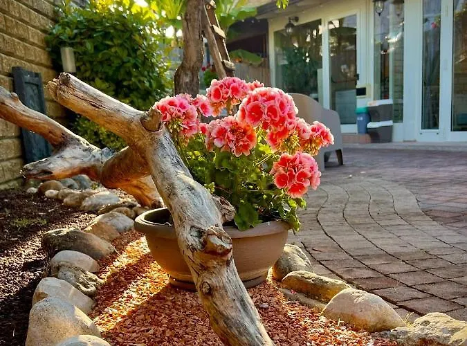 Bed and breakfast Peperosa In Collina 4*