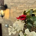 Peperosa In Collina Bed & Breakfast Pescara