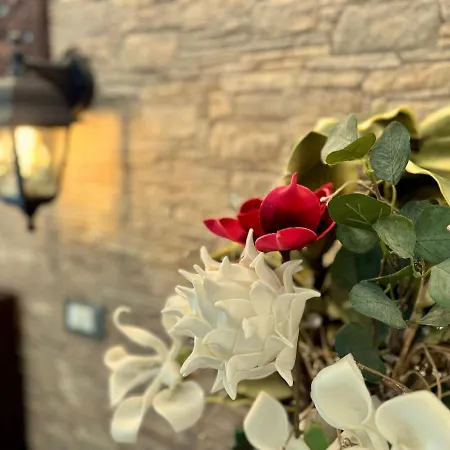 Peperosa In Collina Bed & Breakfast Pescara