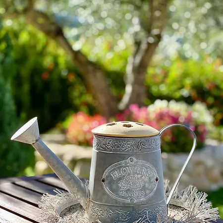 Peperosa In Collina Bed & Breakfast