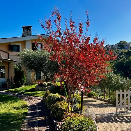 Bed & Breakfast Peperosa In Collina Pescara