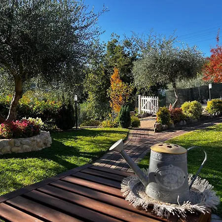Bed & Breakfast Peperosa In Collina