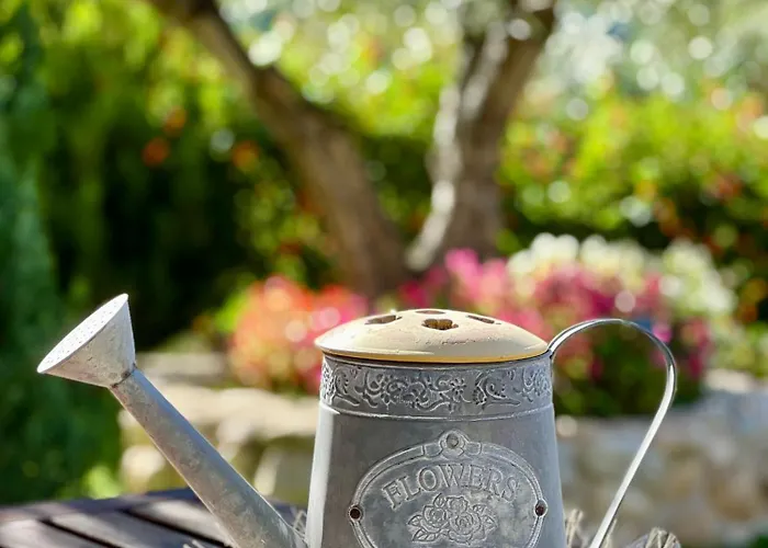 Peperosa In Collina Bed & Breakfast