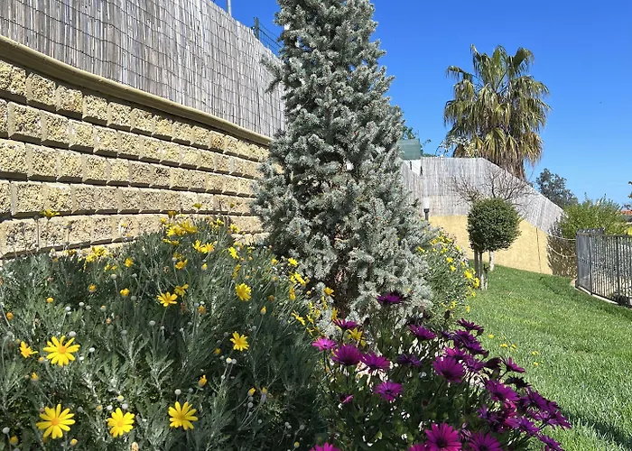 Peperosa In Collina Bed & Breakfast Pescara